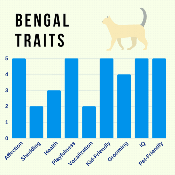 Adapted from CatTime.com. Trait rating is from 1-5; 1 being lowest, and 5 being the highest probability.
