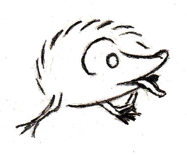 Hedgehog Starting to Turn Inside Out: By extending a long tongue and literally bending over backward, there doesn't seem to be any part of itself a hedgehog can't reach with foaming saliva...