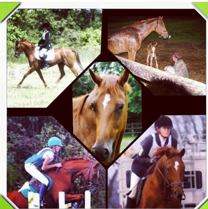 My red mare that I loved oh so much despite all the trouble we caused each other. Talk about baggage—we had tons of it. Still the best horse I ever had to this day!
