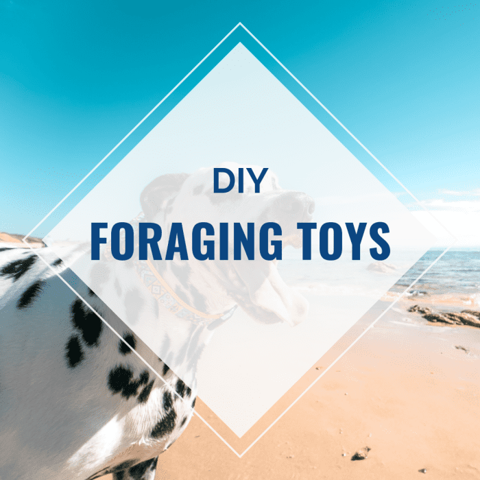 How to Make Your Own Homemade Dog Toys PetHelpful