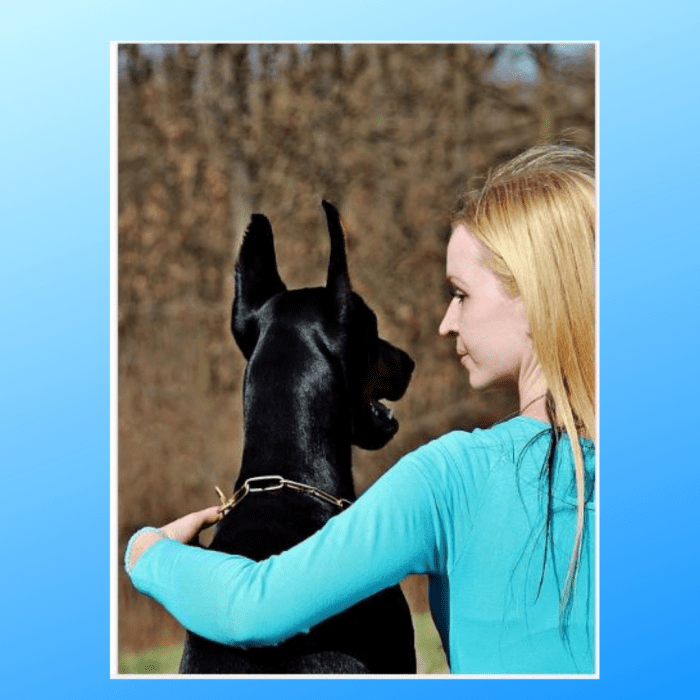 Why Dogs Do Not Like to Be Hugged PetHelpful