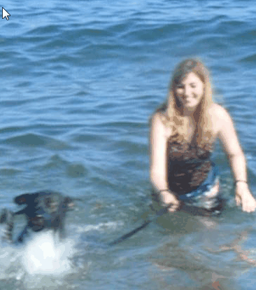 My Rottweiler enjoying the Mediterranean Sea! You can train your dog to love water!