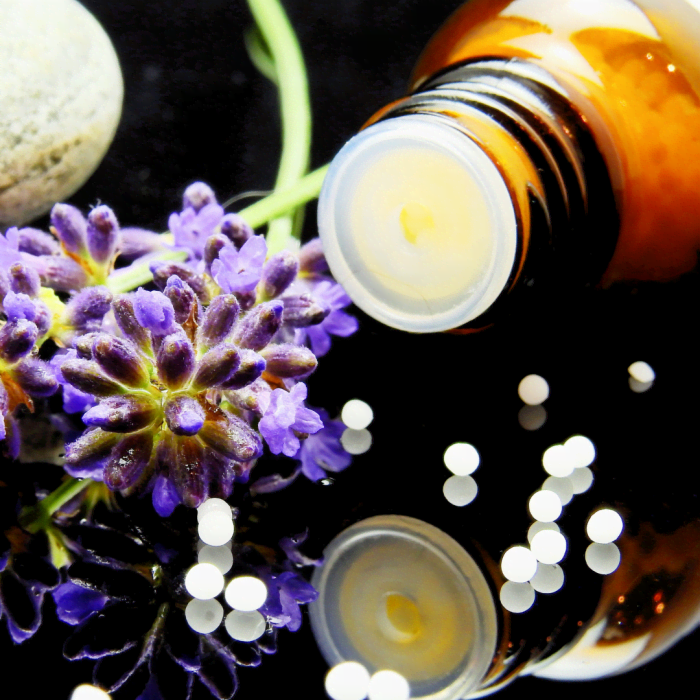 Natural Remedies for Your Dog's Upset Stomach PetHelpful