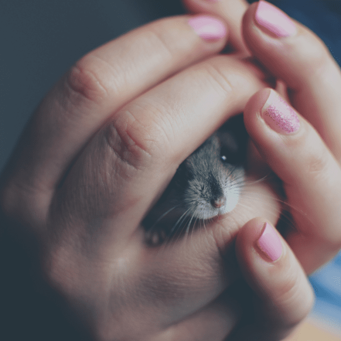 Signs and Symptoms of Injury