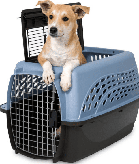 The Petmate 2 Door Top Load Kennel makes it easy to get your dog in and out of his carrier. This carrier is available in 19" and 24" models.