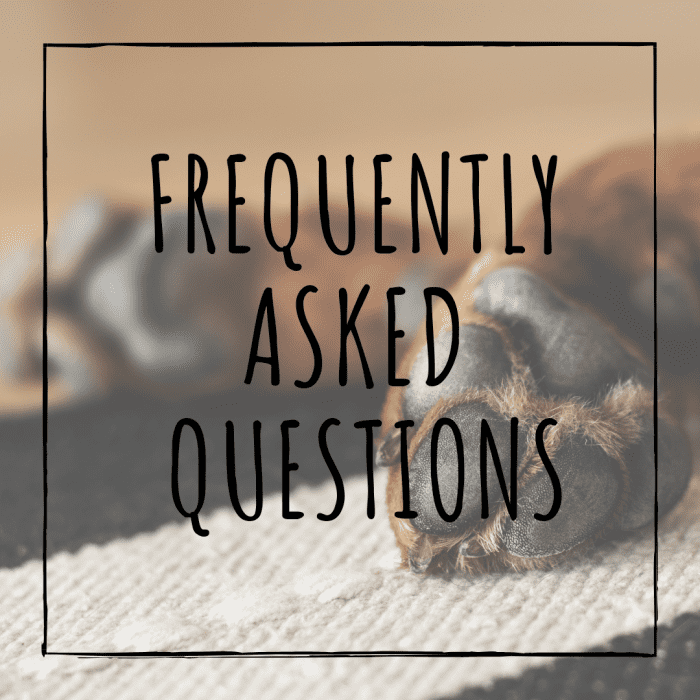 What if you cut the quick? What if your dog is afraid of the trimmers? Frequently asked questions answered.