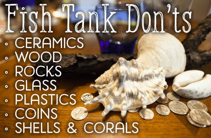 Ceramics, wood, rocks, plastics, painted glass, coins, shells and corals may not be safe decorations for your tank.