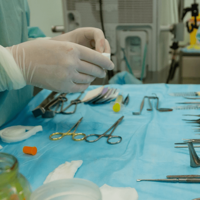 Canine SoftTissue in Dogs PetHelpful