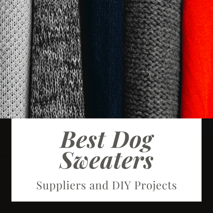 Warm Dog Sweaters for Your Chinese-Crested or Toy Breed - PetHelpful