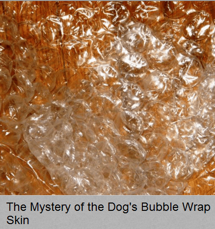 Кожа вашей собаки похожа на пузырчатую пленку?