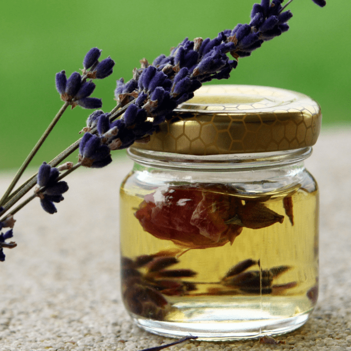 Why You Should Use Neem Oil for Your Dogs PetHelpful