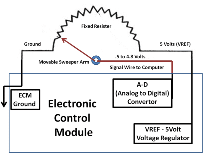 The most common potentiometer is the Throttle Position Sensor located on the throttle body or accelerator pedal.