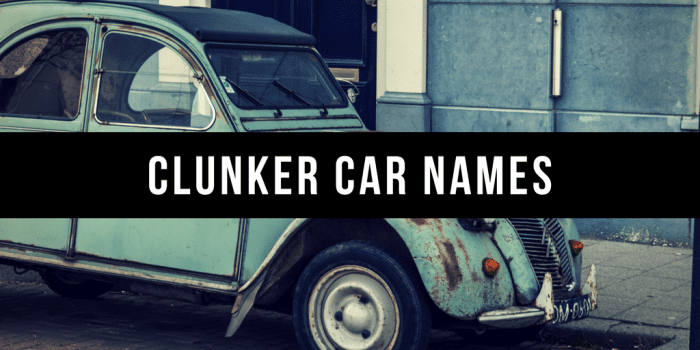 800+ Good Car Names Based on Color, Style, Personality & More - AxleAddict