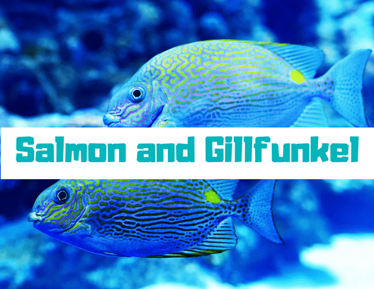 Got two fish that always stick together? Try out these funny, punny names.