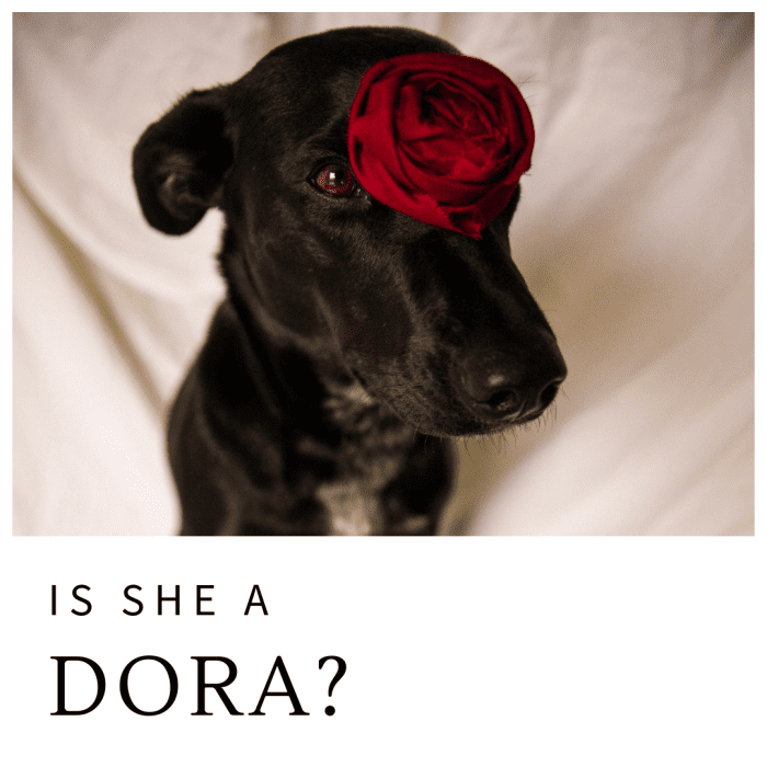 Она Дора?