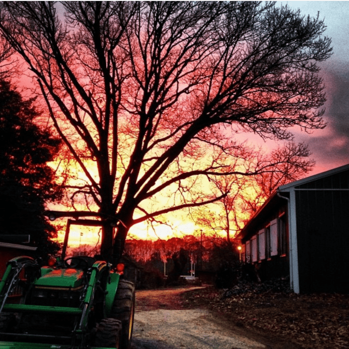 You know what they say "red sky at night sailors delight, red sky at morning,sailors take warning"