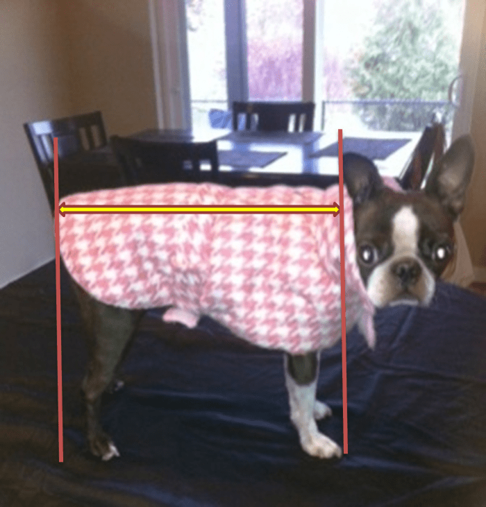 Measure your dog from an inch forward of the point of shoulder to about an inch past the doc of the tail.