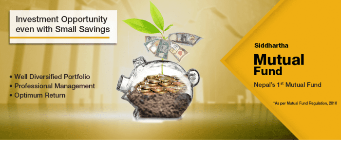 Siddhartha Investment Growth Scheme-1 (SIGS1) and Siddhartha Equity Oriented Scheme (SEOS) are managed by Siddhartha Capital as the merchant banker.