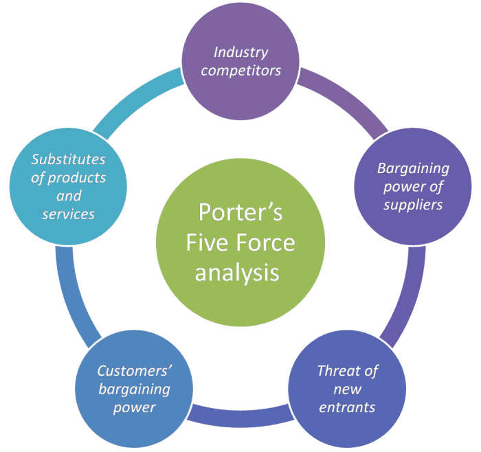 P&G Skin and Personal Care: A Comprehensive Business Analysis for the ...