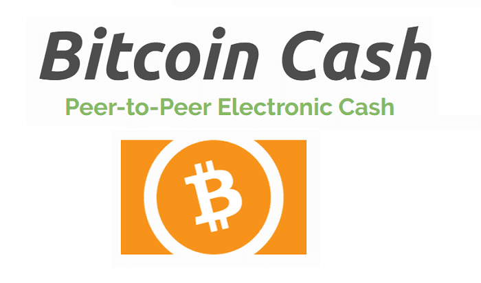 The developers of BItcoin cash want to overtake Bitcoin's lead by providing a faster less expensive version of the digital currency.