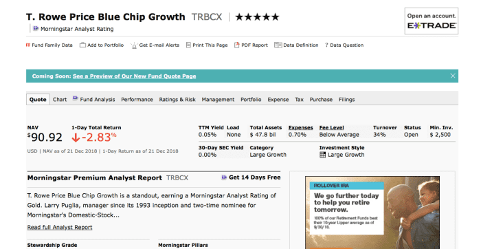 A snapshot of the T-Rowe Price Blue Chip Growth Fund. This page offers great information on individual funds.