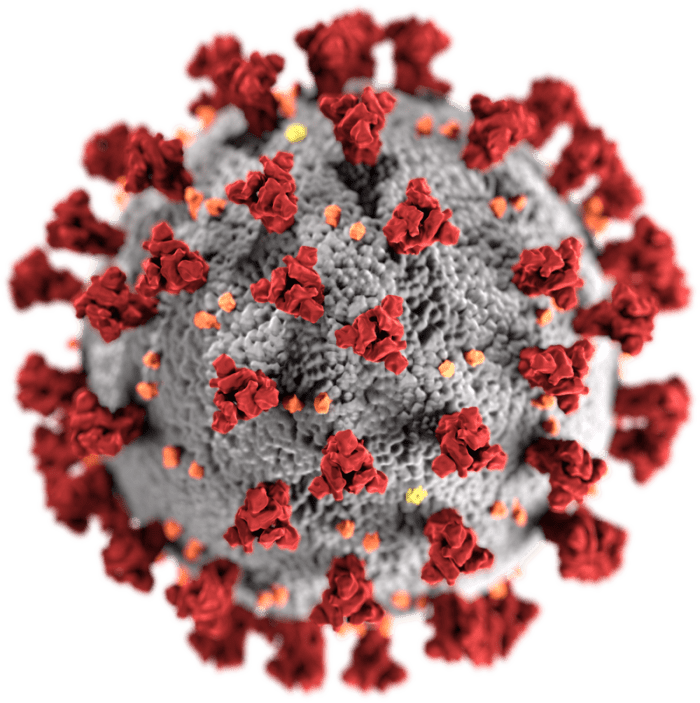 Though aesthetically beautiful, the coronavirus probably won't do pretty things to your lungs if you get it.