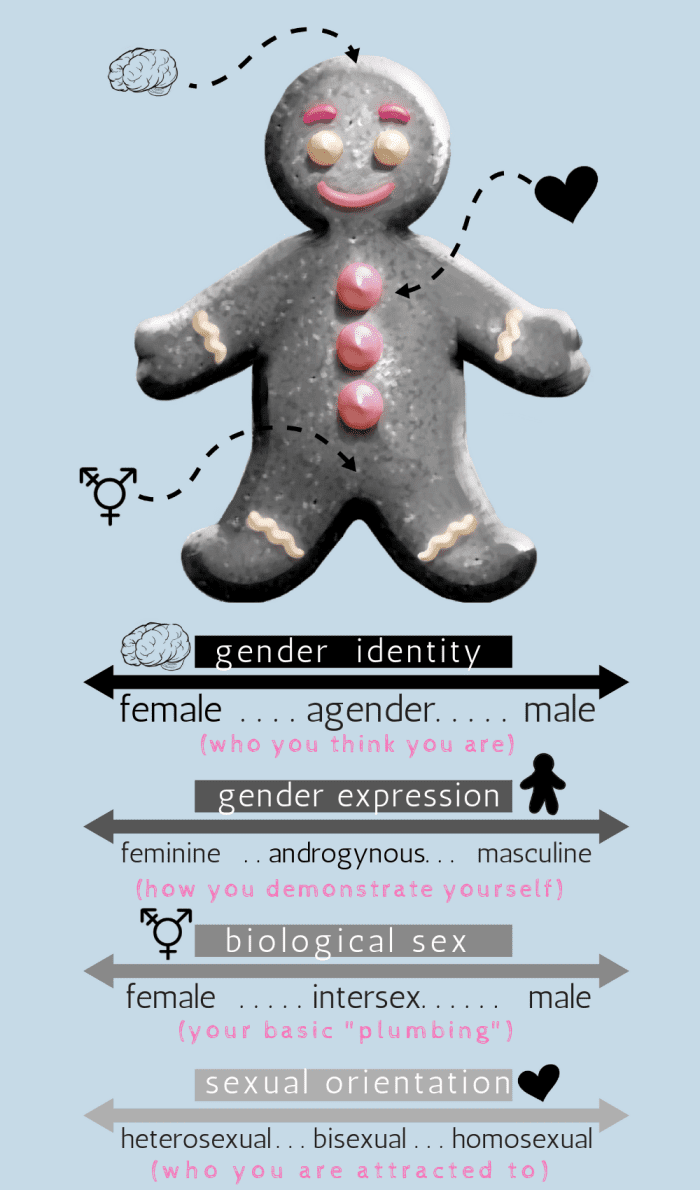 What is the difference between gender identity, gender expression, biological sex, and sexual orientation?