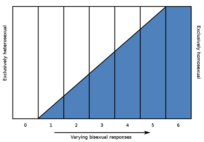 A chart showing the Kinsey Scale. Anyone who falls between 1 and 5 on the Kinsey scale can identify as bi. Bi people who are equally attracted to males and females are a Kinsey 3.