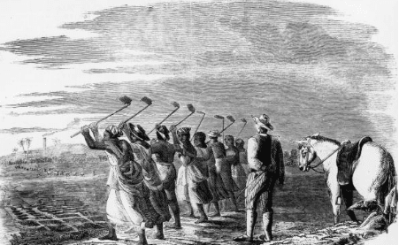 The steady sound of a hoe, pick, or plough, coupled with vibrant, pulsating, calls and responses, bolstered the weary spirits of laboring slaves and fostered the blues.