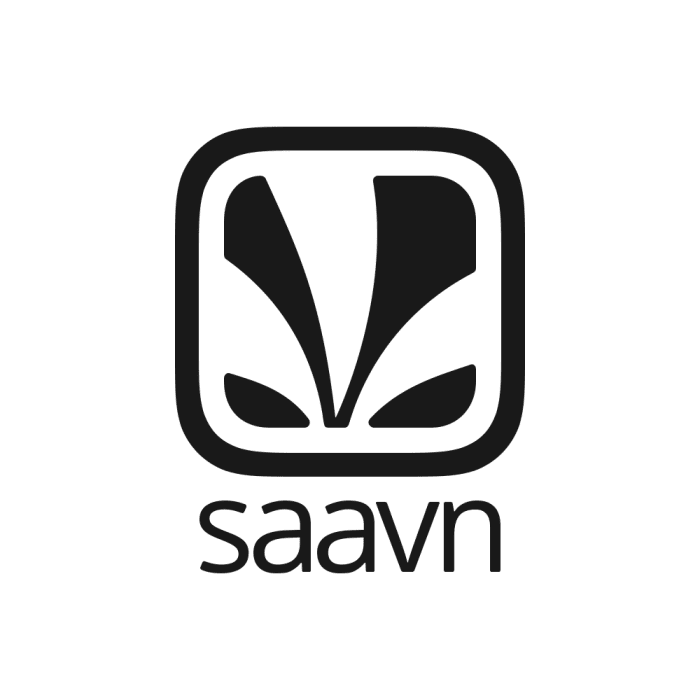 Saavn has a large amount of new Indian music on its service but it is hard to find older music on it.