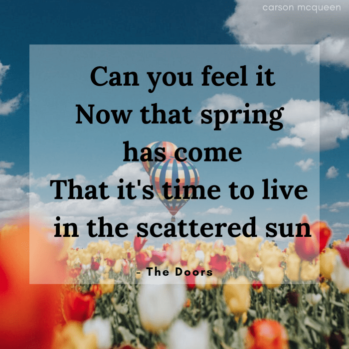 "Can you feel it? Now that spring has come. That it's time to live in the scattered sun." - The Doors