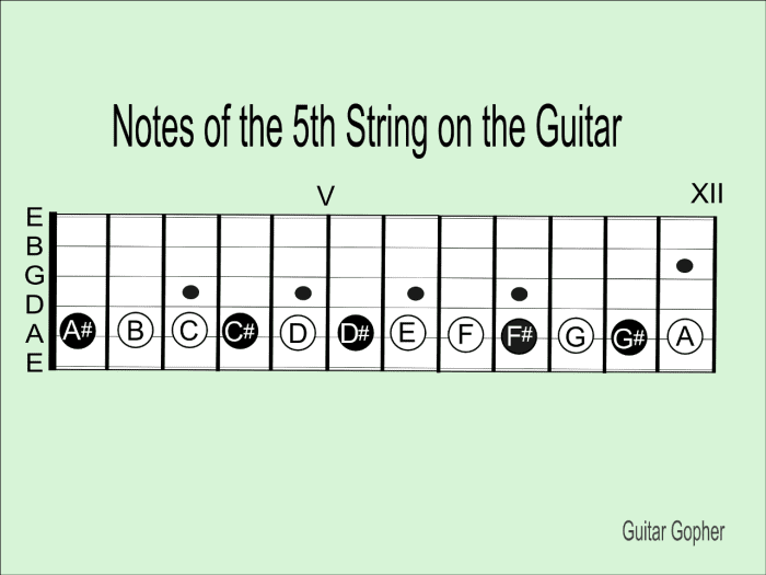 How to Learn the Notes of the Guitar Fretboard the Easy Way - Spinditty