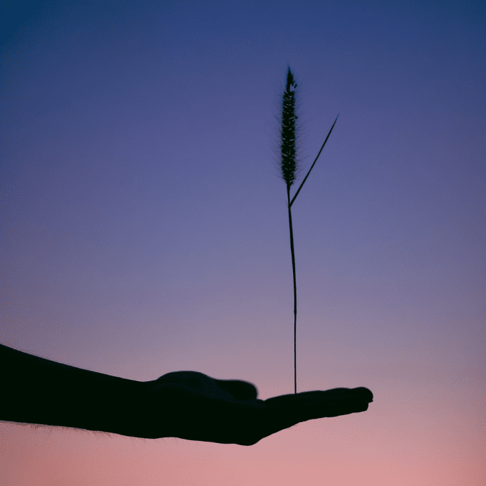 Balance is essential to a healthy Libra-Aquarius relationship. Neither sign can get its way all the time, so find ways to compromise and use your differences to strengthen your bond.