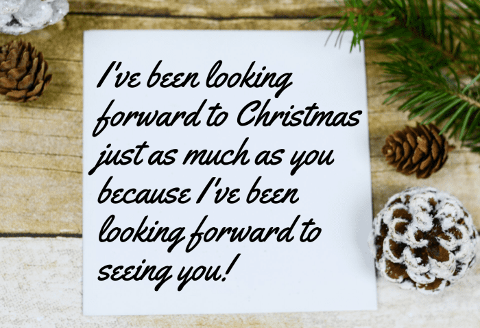 I've been looking forward to Christmas just as much as you because I've been looking forward to seeing you!