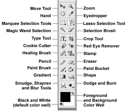 Your toolbar might look a little different to this, but the icons themselves will look the same regardless of what version of Photoshop you use.