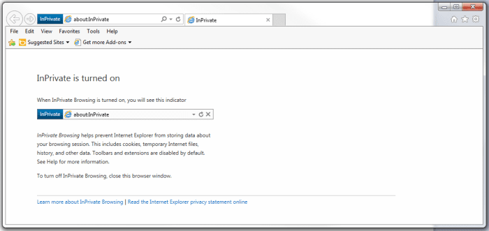 Figure 3. Once you've activated InPrivate browsing in the toolbar, this webpage will confirm that the feature is turned on.