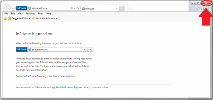 Figure 4. Click the red X in the top right corner of the screen to close the window and end the InPrivate browsing session.