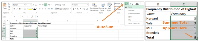 Analyzing Survey Data in Microsoft Excel: Coding, Inputting Data, and ...