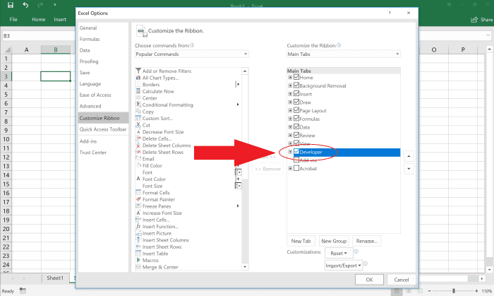 How to Add the Developer Tab to Your Excel Worksheet - TurboFuture