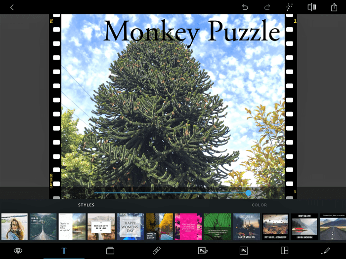 The Photoshop Express app is running on iOS 9. I've added a frame and text to my photo of a monkey puzzle tree as well as filters on the photo itself.
