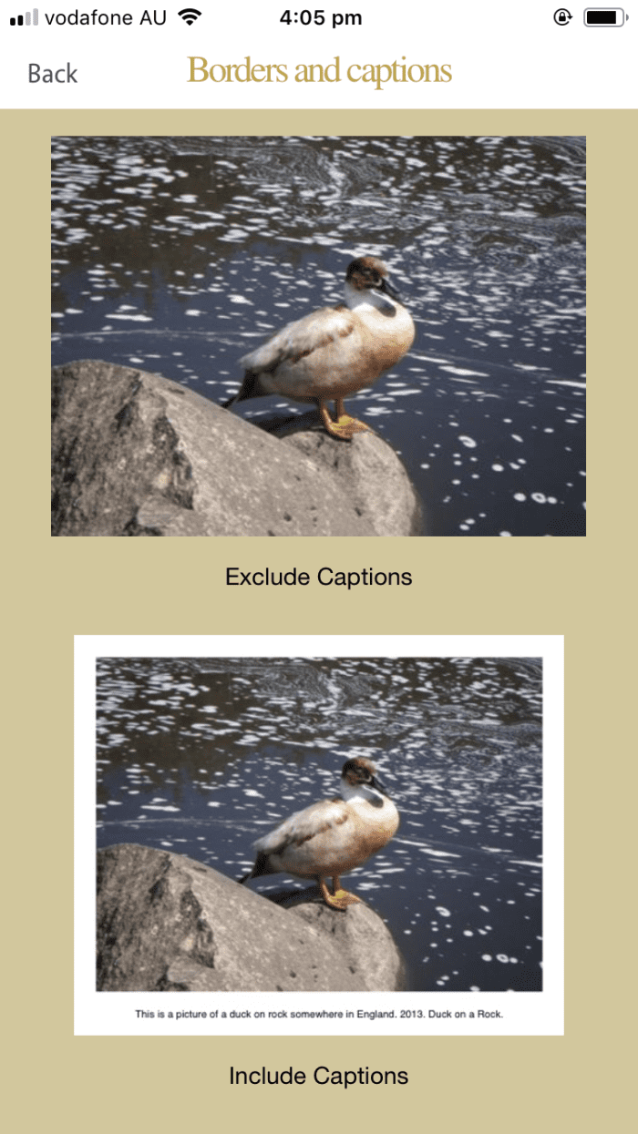 Which Photo Captioning Software Is the Best? TurboFuture