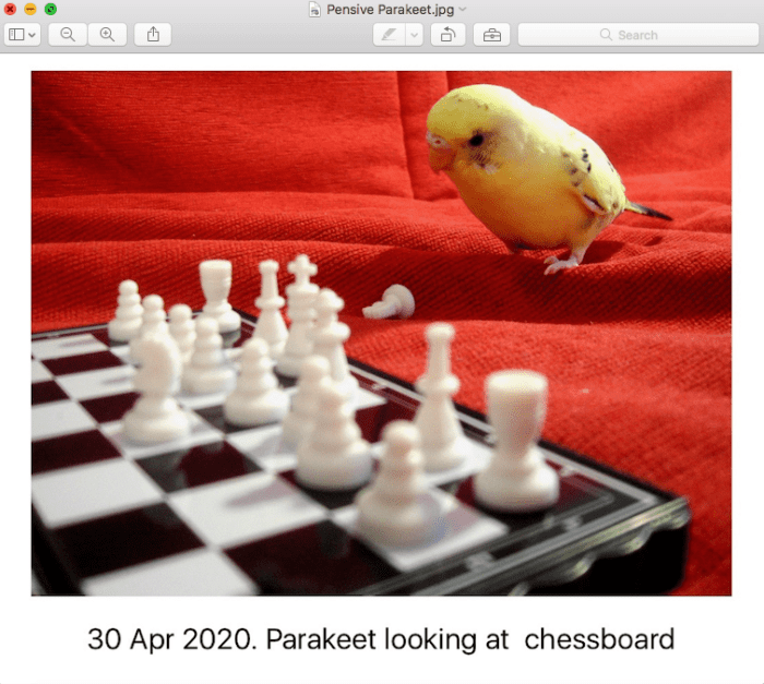 Which Photo Captioning Software Is the Best? TurboFuture