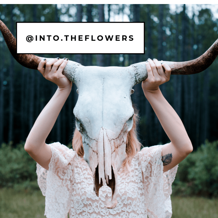 200+ Creative Instagram Name Ideas and Handles for Insta-Fame - TurboFuture