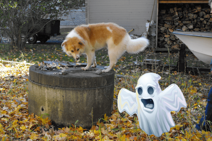In the 3D version the ghost appears to be in front of my computer screen.