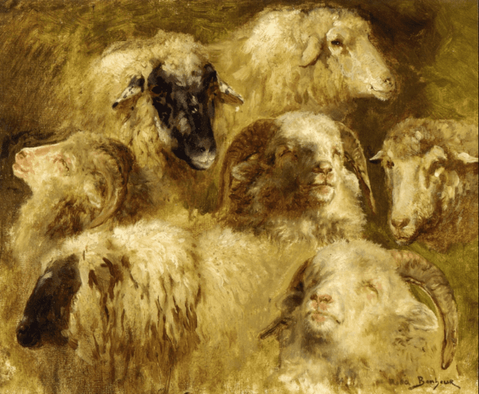 "Heads of Ewes and Rams" by Rosa Bonheur (?)