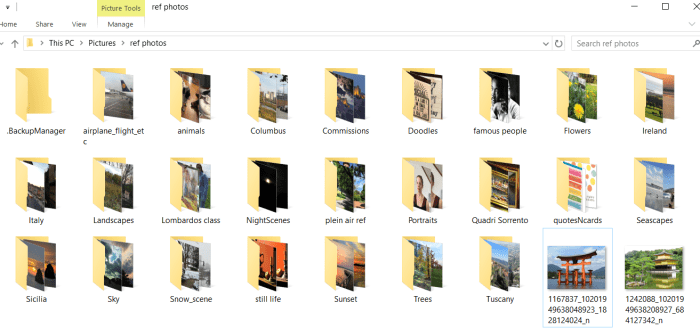 The reference photo folder in my laptop has several sub-folders that keep images organized by subject.