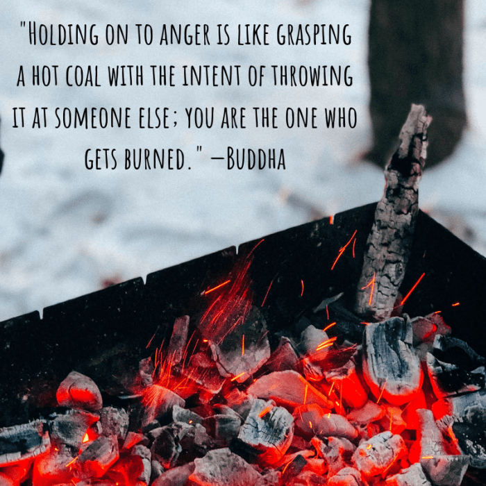 "Holding on to anger is like grasping a hot coal with the intent of throwing it at someone else; you are the one who gets burned." —Buddha
