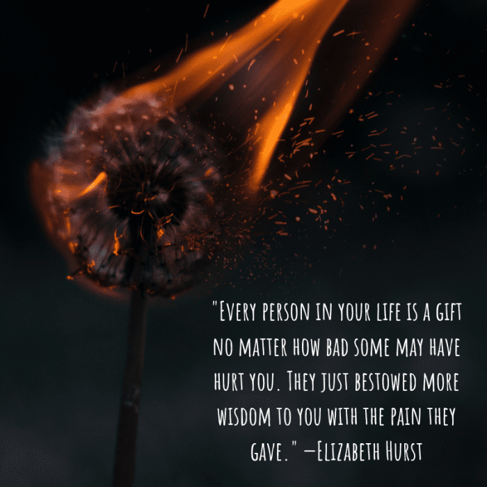 "Every person in your life is a gift no matter how bad some may have hurt you. They just bestowed more wisdom to you with the pain they gave." —Elizabeth Hurst