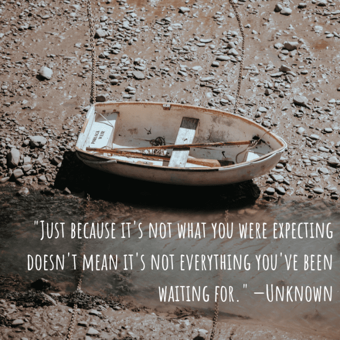 "Just because it's not what you were expecting doesn't mean it's not everything you've been waiting for." —Unknown