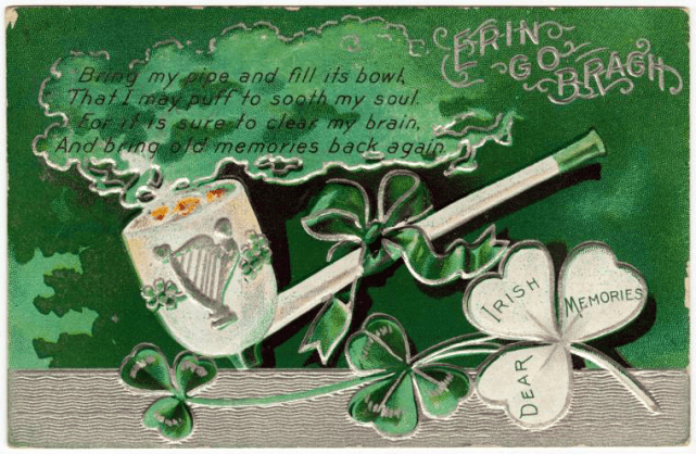 Some people mistake the shamrock with the four leaf clover. They are very different, but both are green.